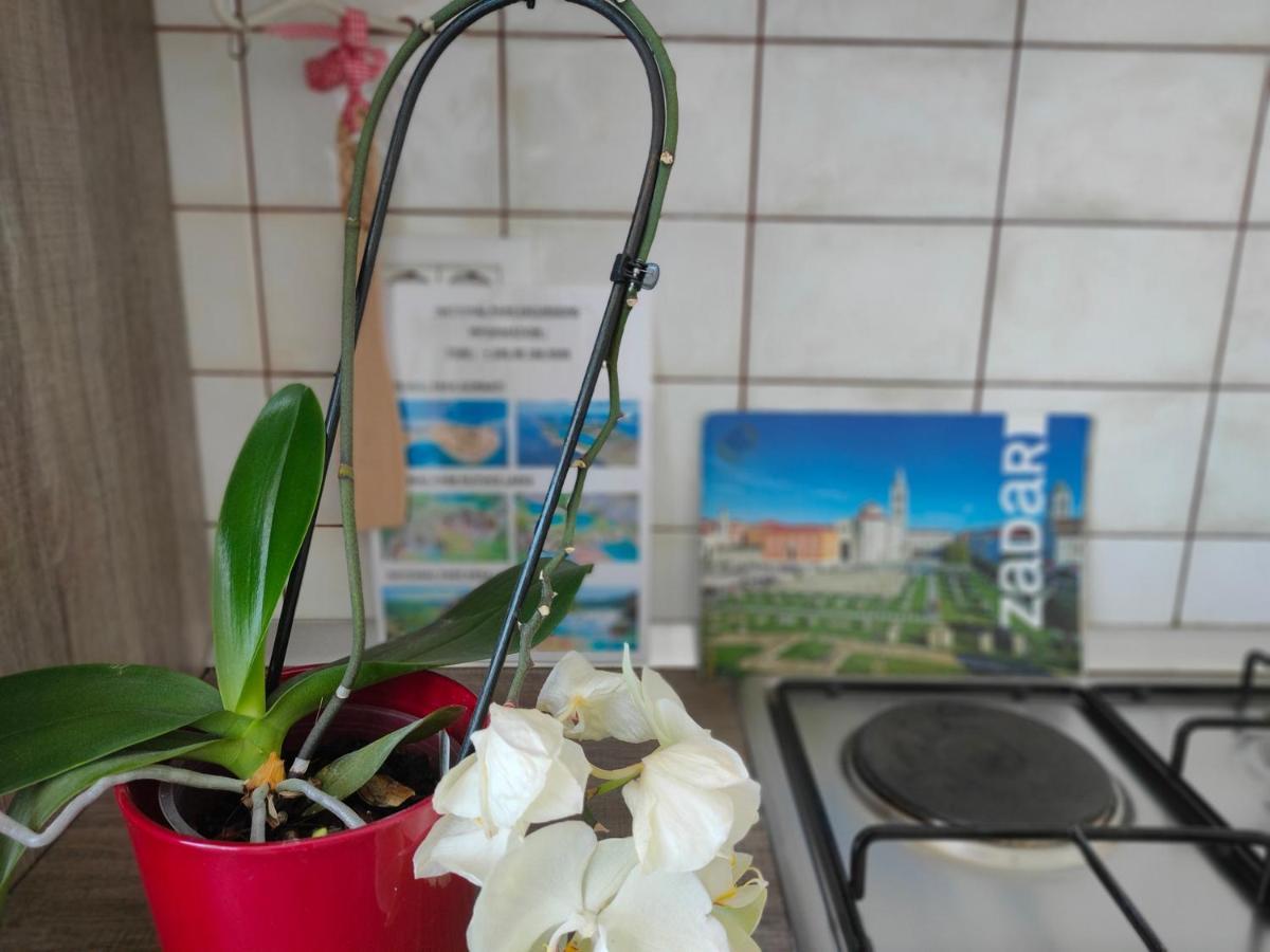 The Nice Dreams Studio Apartment Zadar Extérieur photo
